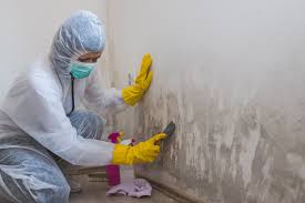 Best Mold Prevention Services in Levittown, PA